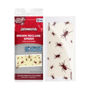 Brown Recluse Spider Giant Glue Boards